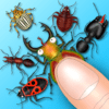 Hexapod ant smasher cockroach icon