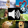 Animal Sounds HD (Free) icon