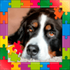 Puzzles game icon