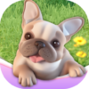 Dog Paradise icon