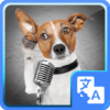 Dog translator simulator icon