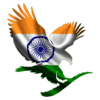 FLP INDIAN Catalog icon