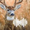 Deer Hunting Calls icon