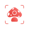 Picture Mushroom – Mushroom ID icon