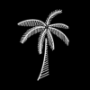 Palmetto Superfoods icon