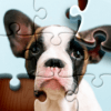 Jigsaw Puzzles: HD Puzzle Game icon