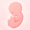 My Pregnancy – Baby Tracker icon