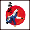 Learn judo techniques icon