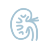 kidney.wiki: learn kidneys icon