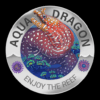 Aqua Dragon icon