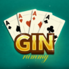 Gin Rummy – Offline Card Games icon