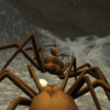 Spider Nest Simulator insect icon