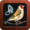 Goldfinch Tones icon