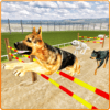 Dog Stunt & Training Simulator icon