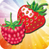 Fruit Mania Rush icon