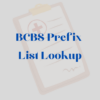 BCBS Prefix List Lookup icon