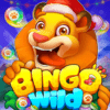 Bingo Wild – Animal BINGO Game icon