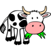 Cattle breeds icon