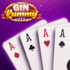 Gin Rummy Elite: Online Game icon