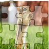 Animal Photo Puzzle. icon