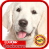 Cómo Educar a un Cachorro icon