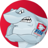 FIN MAN icon