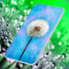 Dandelion Live Wallpaper icon