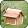 Bird House Ideas icon