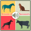 Animal and Birds sounds icon