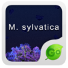 GO Keyboard M.sylvatica theme icon