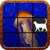 Ocean Slide Puzzle icon