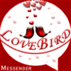 LoveBird Messenger Only for couple icon