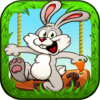 Bunny Run 2 icon