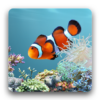 Ocean Fish HD Wallpapers icon