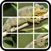 Sliding logic Puzzle: Animals icon