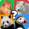 Animal Quiz Guess their Answer icon