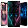 Galaxy Wild Wolf Wallpapers icon