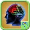 Right Brain Test icon