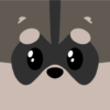 Kiwii Pocket: Pet Racoon icon