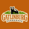 Visit Gatlinburg, Tennessee icon