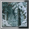 Snow Cartoon Forest Live Wallpaper icon