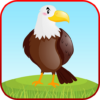 Bird Sounds Learning Games Color & Puzzle icon