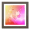 Duo Picture Frame icon