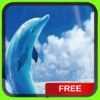 Dolphins Ocean Splash Live Wallpaper Background icon