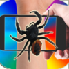 Spider On Hand Super Prank icon