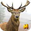 Deer Hunting 3D Sniper Shooter icon