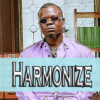 Kushoto Kulia by Harmonize sin internet Mp3 icon