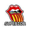 Valencià Superior / C2 icon