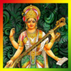 SARASWATI HQ Live Wallpaper icon