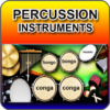 Percussion Instrument icon